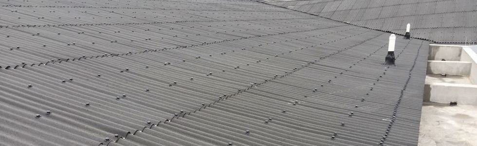 ���ನ����