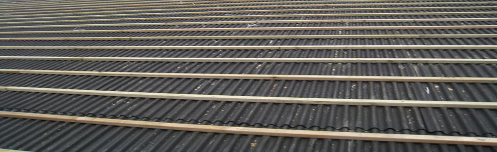 ���������ˮ��