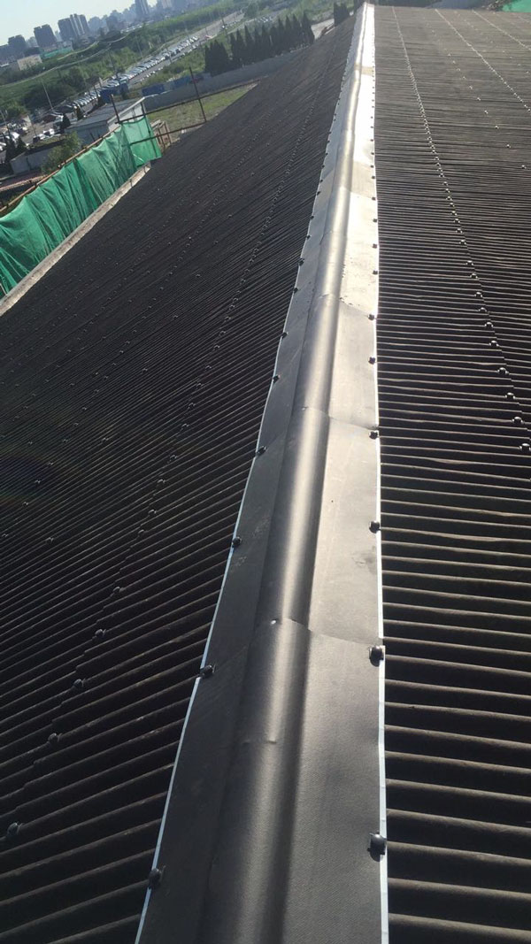 ��ɫ����������