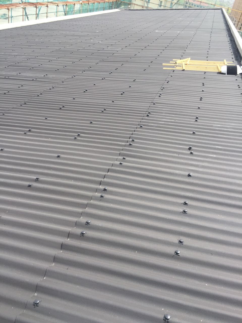 ��ɫ����������