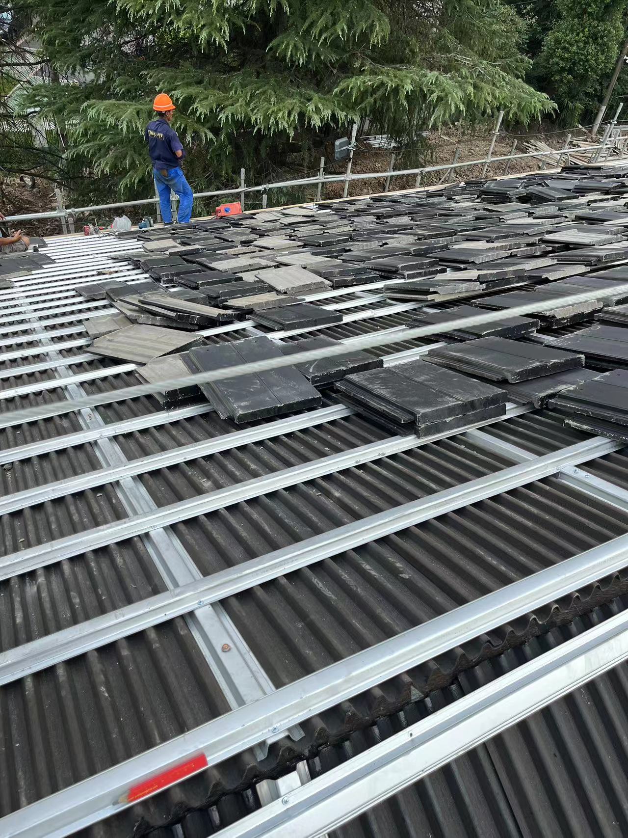 ����п������