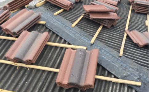 ���������ˮ�尸��